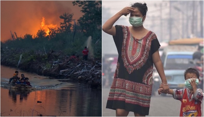 Kebakaran Melanda Indonesia di Sejumlah Titik
