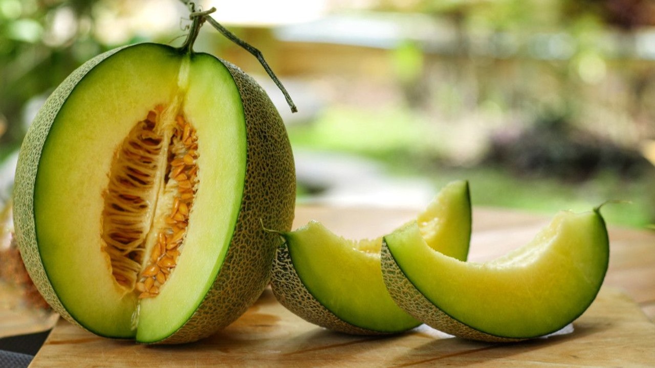Terdapat 4 Manfaat Baik Buah Melon Untuk Kesehatan