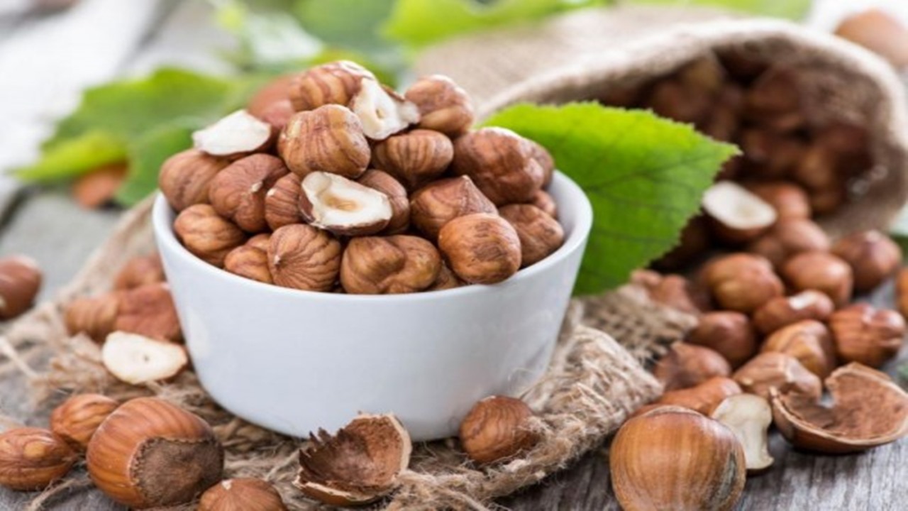 Ada 4 Manfaat Kacang Hazelnut Bagi Kesehatan Tubuh