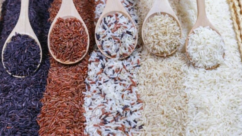 Ada 4 Jenis Nasi yang Baik Dikonsumsi Saat Diet
