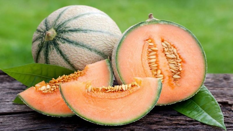 Konsumsi Melon Jingga secara Rutin