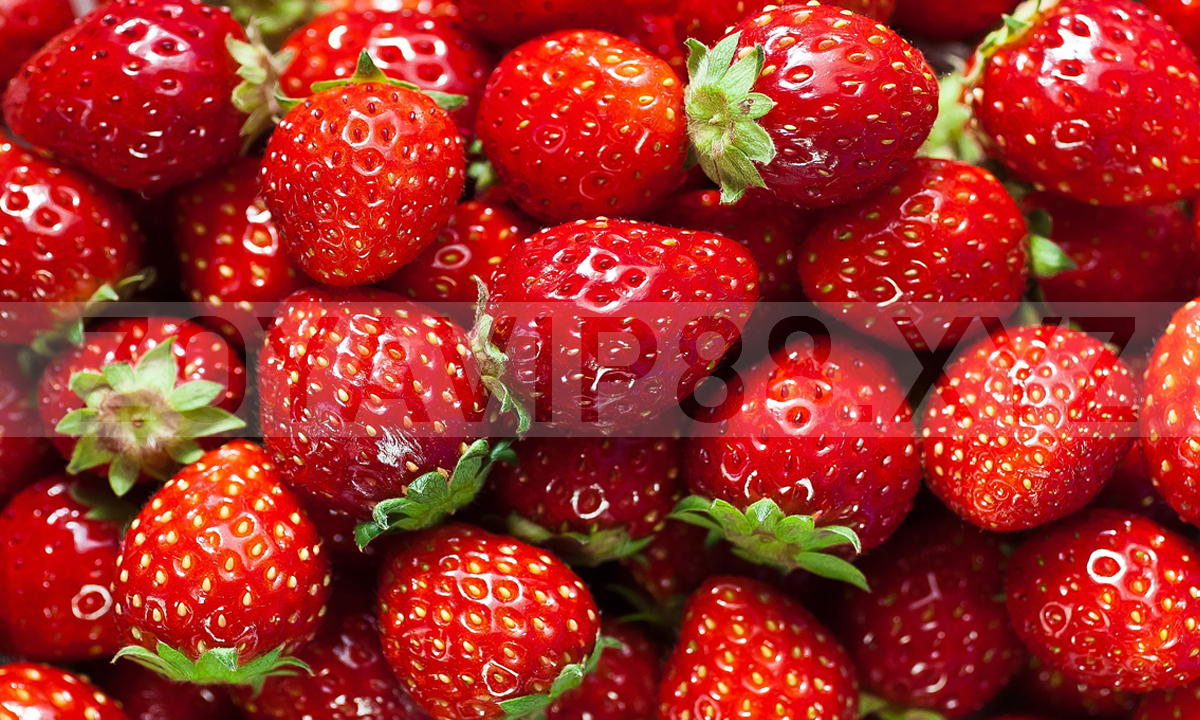 Khasiat Buah Strawberry Untuk Wajah, Simak yuk!