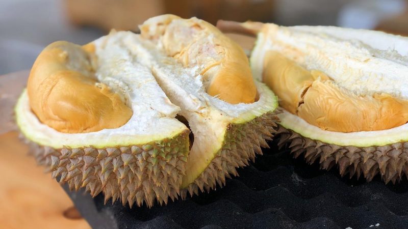 Manfaat Durian Bagi Kesehatan Tubuh