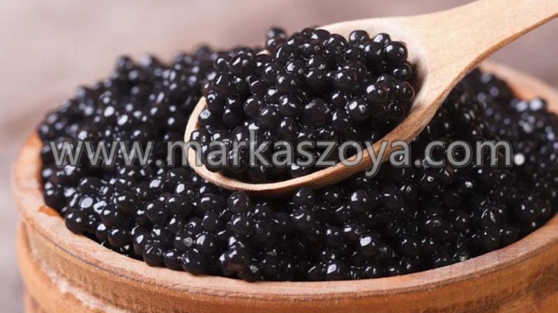 Manfaat Caviar bagi Kesehatan Tubuh