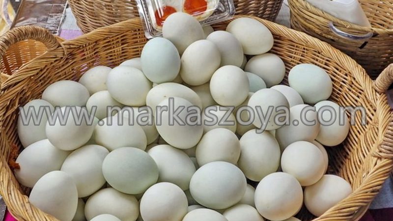 Manfaat Telur Bebek untuk Kesehatan