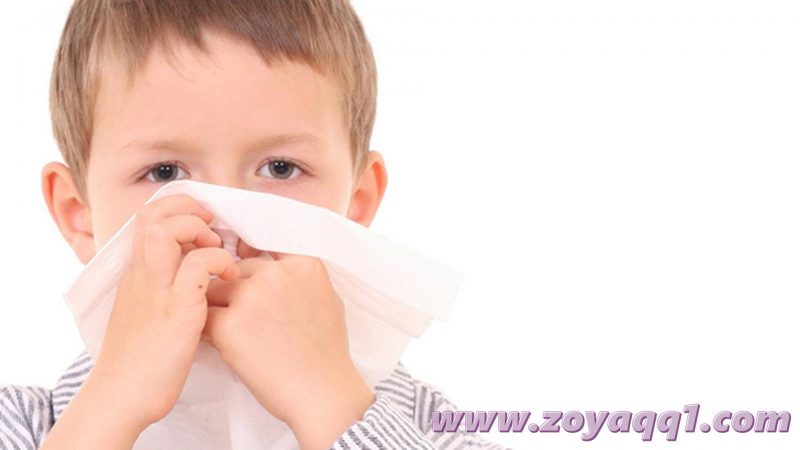 Cara Efektif Mencegah Flu Singapura pada Anak