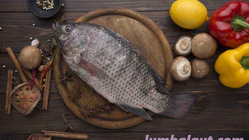 Manfaat Ikan Nila bagi Kesehatan