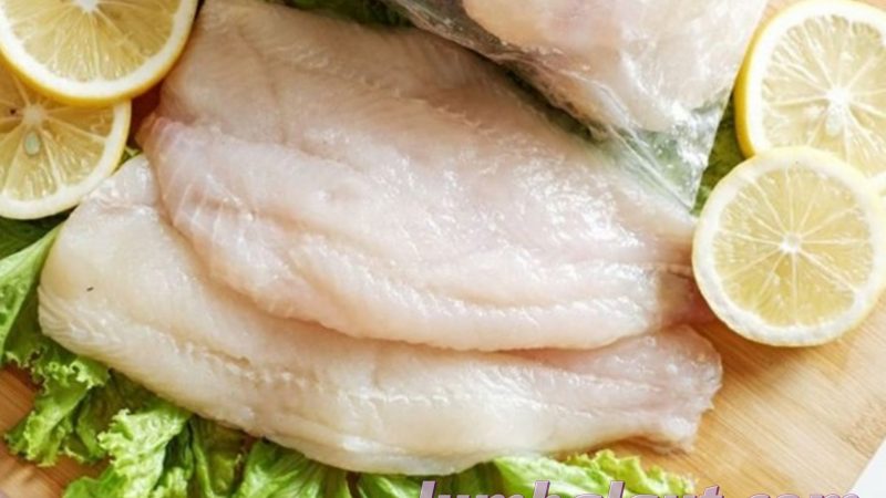 Manfaat Konsumsi Ikan Dori bagi Kesehatan Tubuh