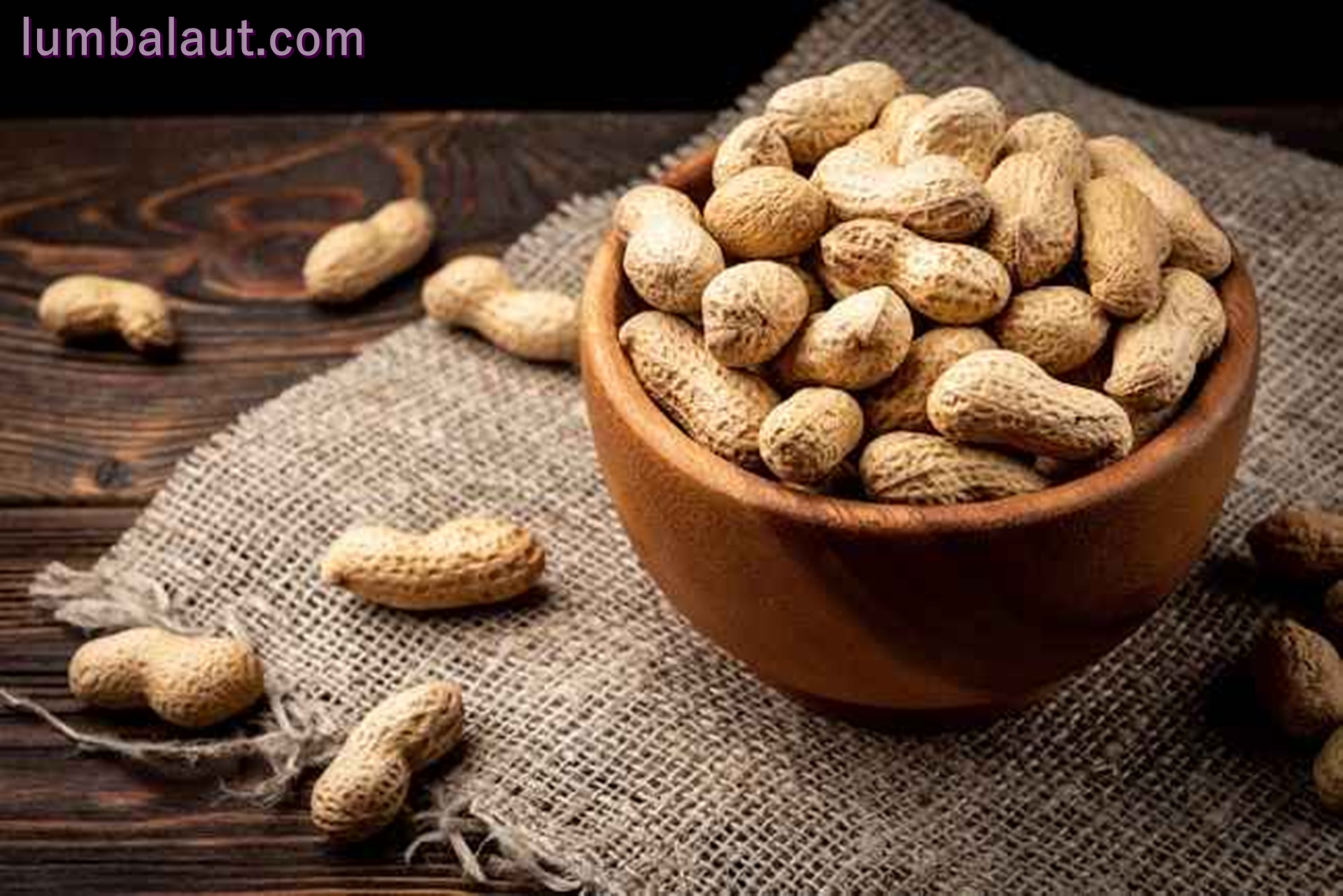 Manfaat Kacang Tanah untuk Kesehatan yang Jarang Di ketahui