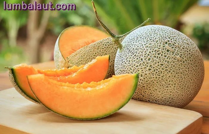 Manfaat Kesehatan Buah Melon Tanpa Batas